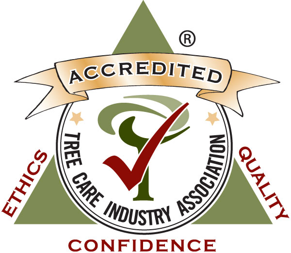 Logo of the tree care industry association featuring a green and red emblem with the words "accredited," "ethics," "quality," and "confidence," and a checkmark symbolizing approval.