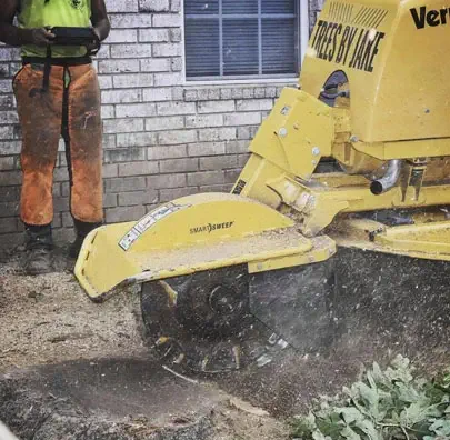Stump Grinding