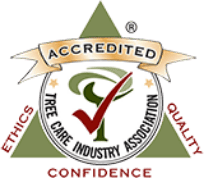 TCIA Logo