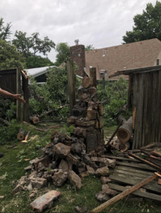 fallen oak tree through a fence