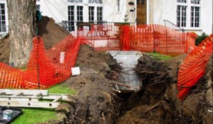 A big tree is fenced with an excavation at its side.