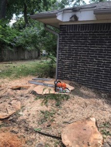 a chainsaw placed on top of a cut tree trunk on the floor of a backyard