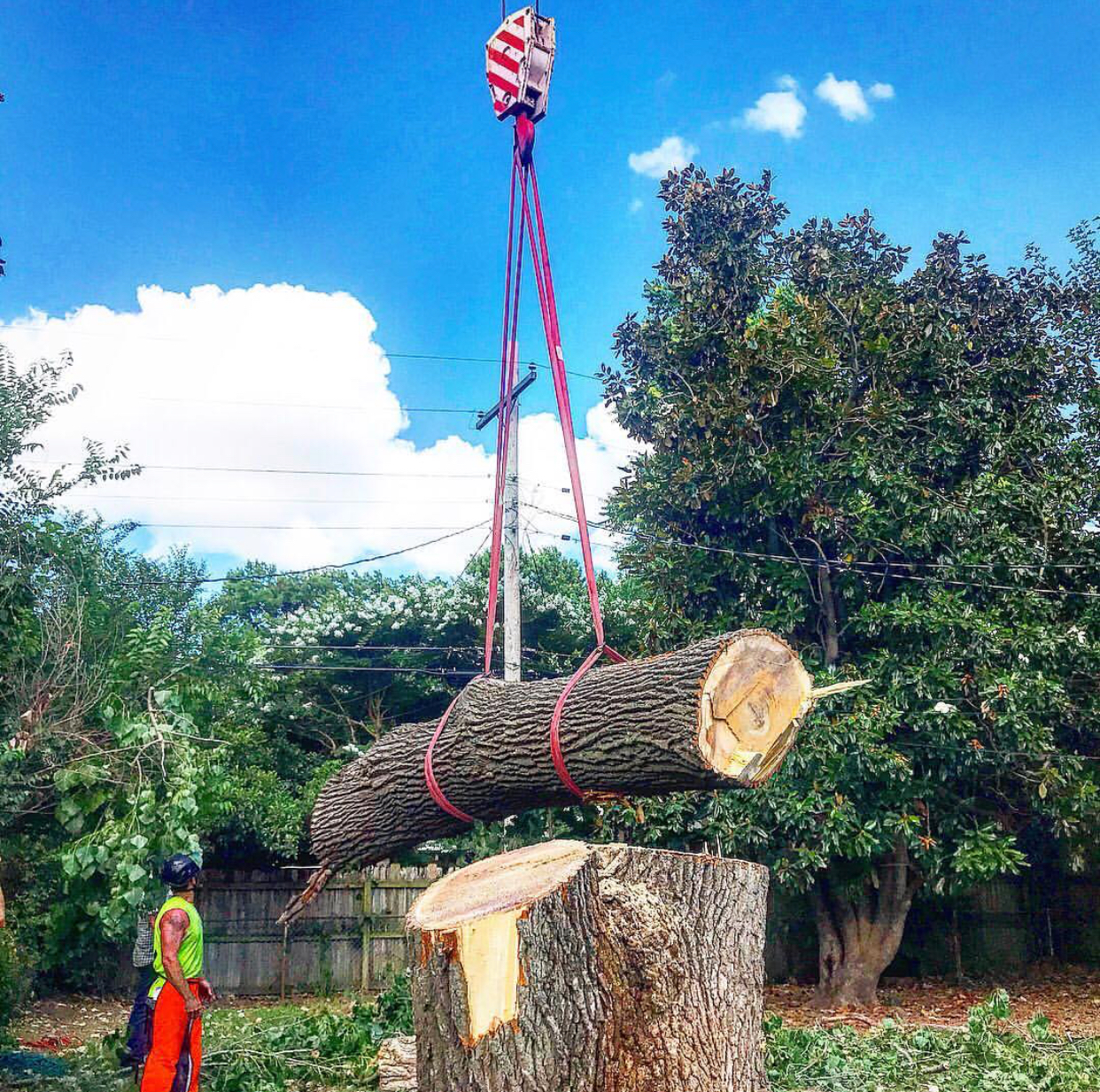 Large Tree Removal Tulsa