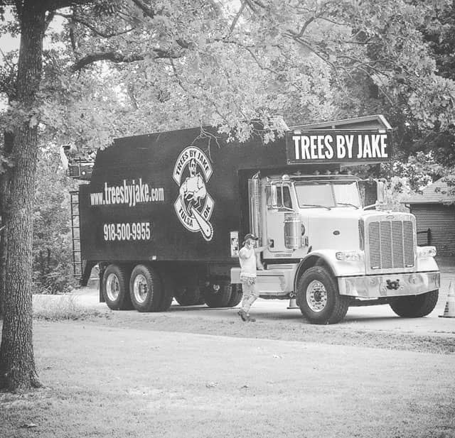 Grapple truck picking up a large pecan tree trunk from the grassland