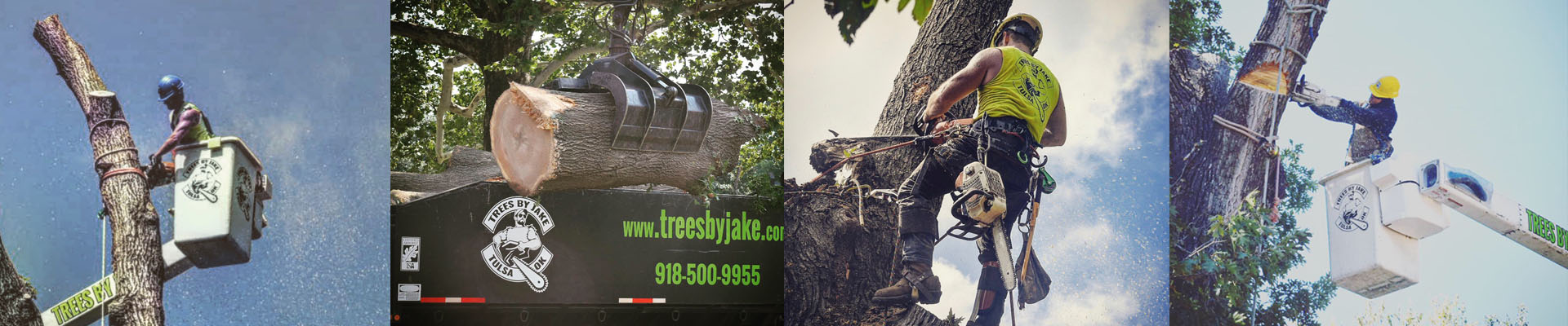 Services Trees by jake Services Trees by jake