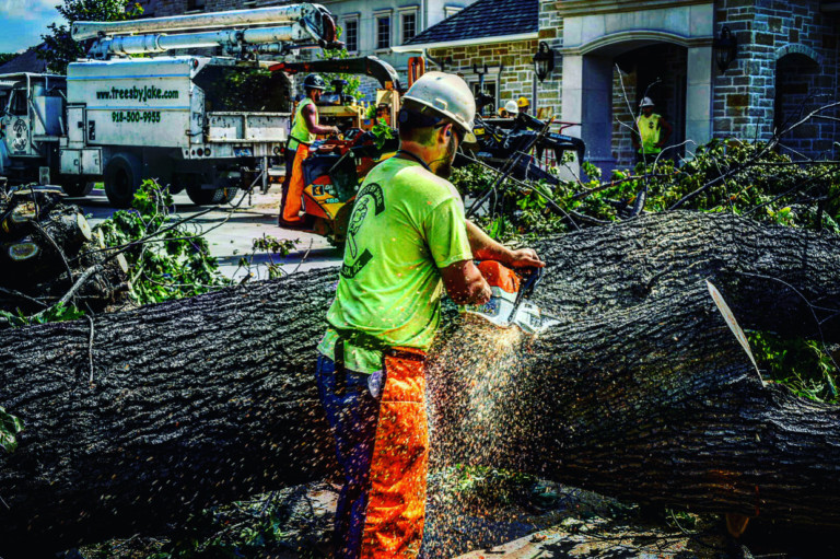 A tree expert cutting a huge trunk on the street using chainsaw