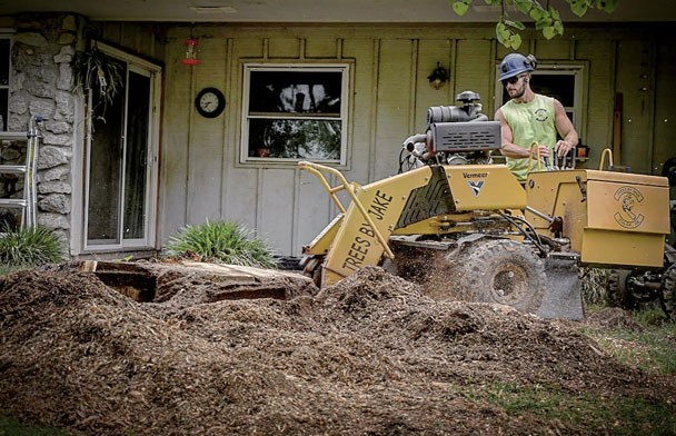 A man operates a stump grinding machine to grind an old tree stump below the ground surface.