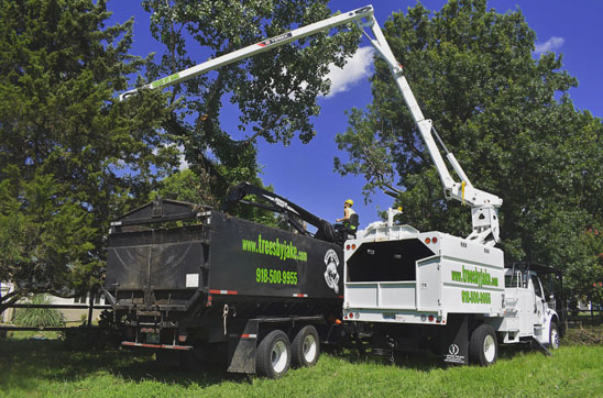 Black truck and a white truck being operated by Trees by Jake professional