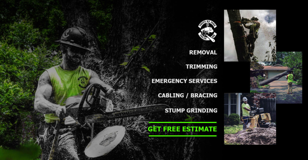 Trees By Jake is a Tulsa Arborist
