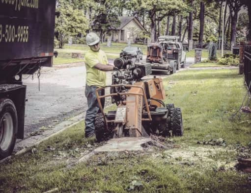 arborist using grinder for the tree stump besiode the road