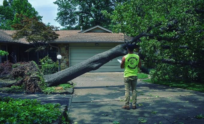 A man surveying a fallen tree at a home blocking the driveway.