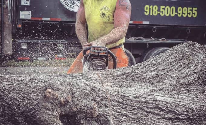 Arborist cutting a huge tree trunk on the ground
