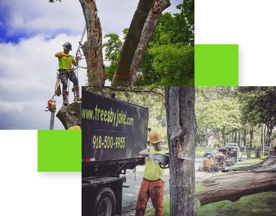 A double inlayed image that shows an arborist in climbing gear up in a tree cutting off branches with a chainsaw and the other images shows a man on the ground cutting down a tree for removal in Sand Springs, OK