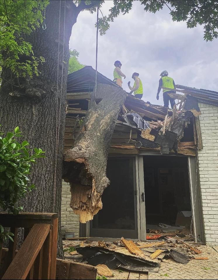arborists taking the fallen tree limb from the roof of a house in Bixby, OK