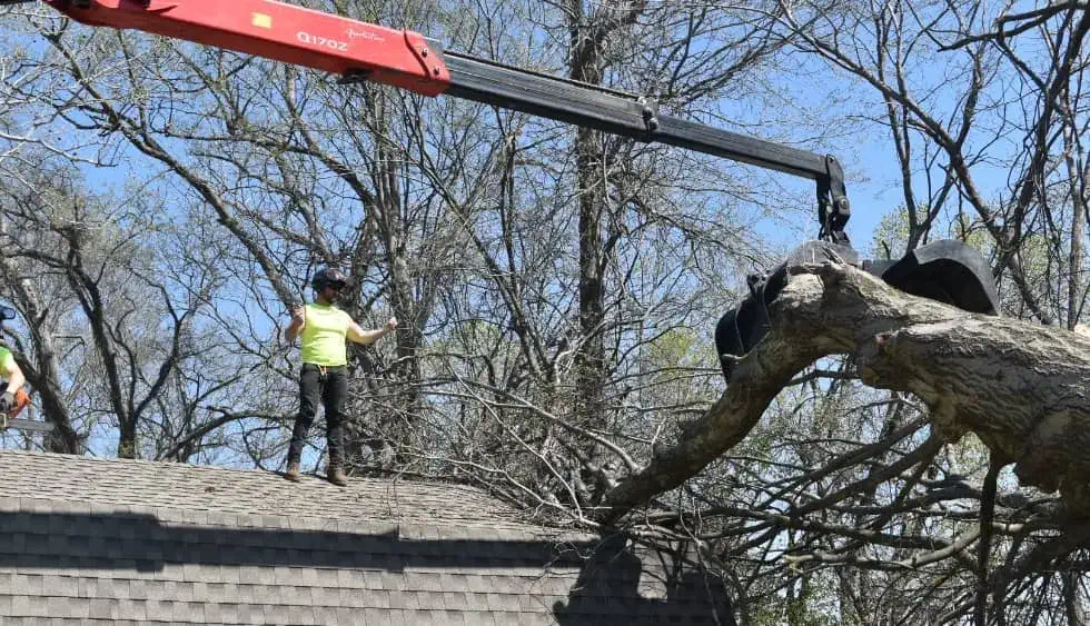 Worker standing on a roof guiding the claw of a large crane as it removes a fallen tree branch.
