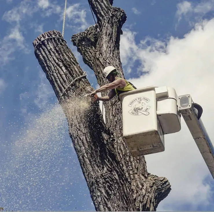 A worker in a bucket lift cuts a tree trunk high above the ground beneath a blue sky with clouds.