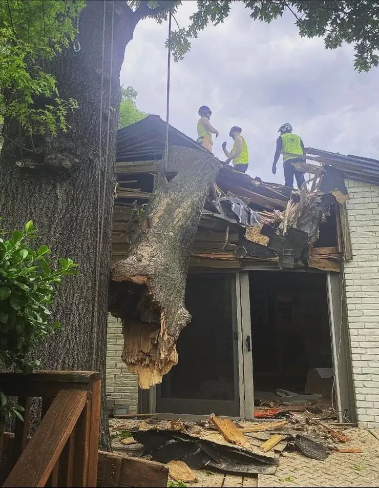 Three workers wearing safety gear assess damage caused by a large fallen tree trunk crashing through the roof of a white brick building. Debris is scattered around the ground and the damaged roof area.