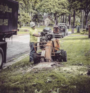 A worker in a hard hat operates a stump grinder on a grassy roadside. A truck and more trees are in the background.