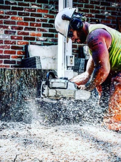 A person wearing safety gear operates a chainsaw on a large tree stump, with wood chips flying.