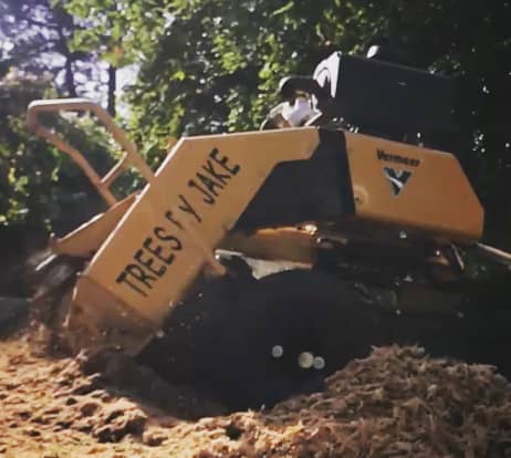 A yellow Vermeer tree stump grinder in action, surrounded by wood chips and trees in the background.