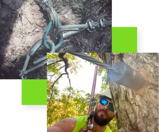 A person in a safety harness attached to tree climbing gear. Close-up shows a knot and secured rope.