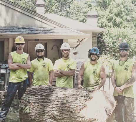 Five workers in safety gear pose in front of a large fallen tree trunk outside a house.