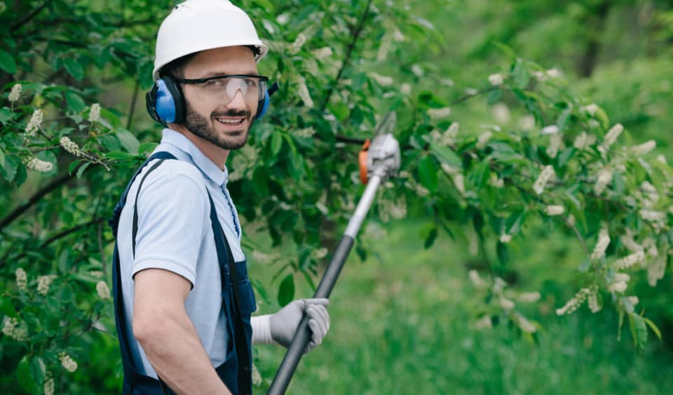 A man in safety gear holds a long pruning tool next to a leafy tree in a green outdoor setting.