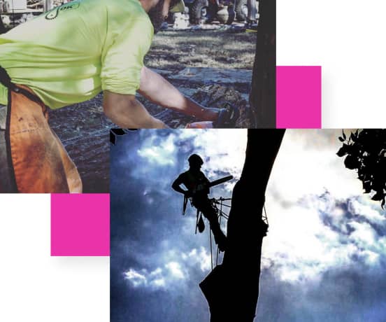 Two images: Top shows a person in a yellow shirt working with tools outdoors. Bottom depicts a silhouette of a person climbing a tree with ropes against a cloudy sky.