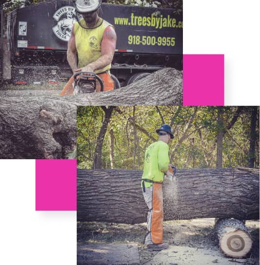 Two workers in safety gear use chainsaws to cut large tree branches. A truck with "treesbyjake.com" is in the background.