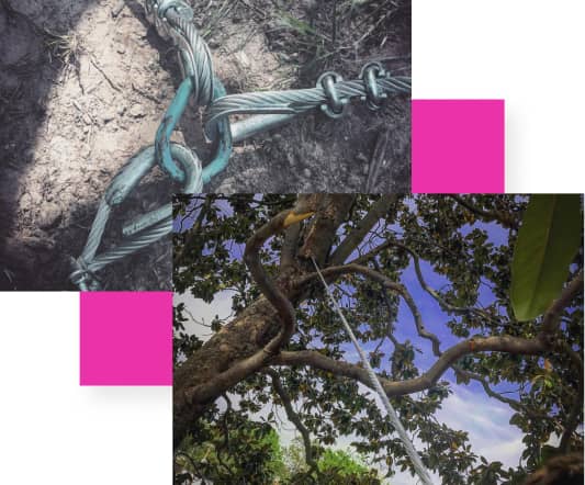 Two images: one showing a cable tied to a ground stake, the other showing a cable attached to a tree branch. Pink rectangles are overlaid on the images.