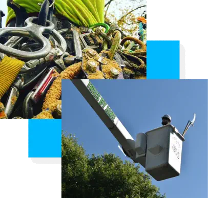 Close-up of climbing gear and a person operating a bucket lift labeled "Tree Service," positioned among tree branches against a blue sky.