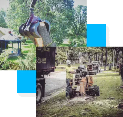 A worker operates a tree stump grinder on a residential lawn as a large claw lifts a tree trunk into a truck nearby.