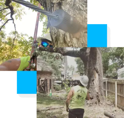 A worker in safety gear operates a chainsaw to cut down a large tree in a residential backyard.