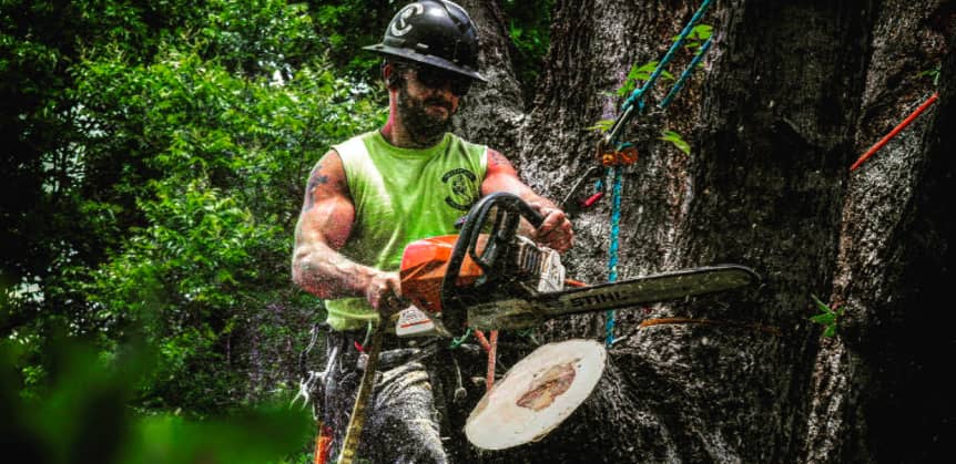 A worker wearing safety gear uses a chainsaw to cut a large tree branch outdoors, with sawdust flying around.