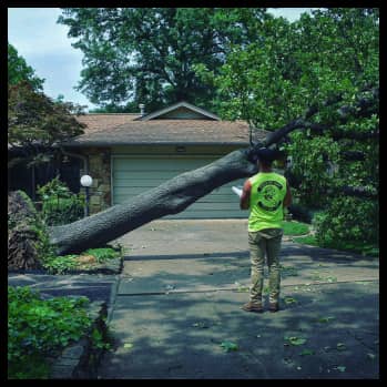 Emergency Tree Service in Owasso